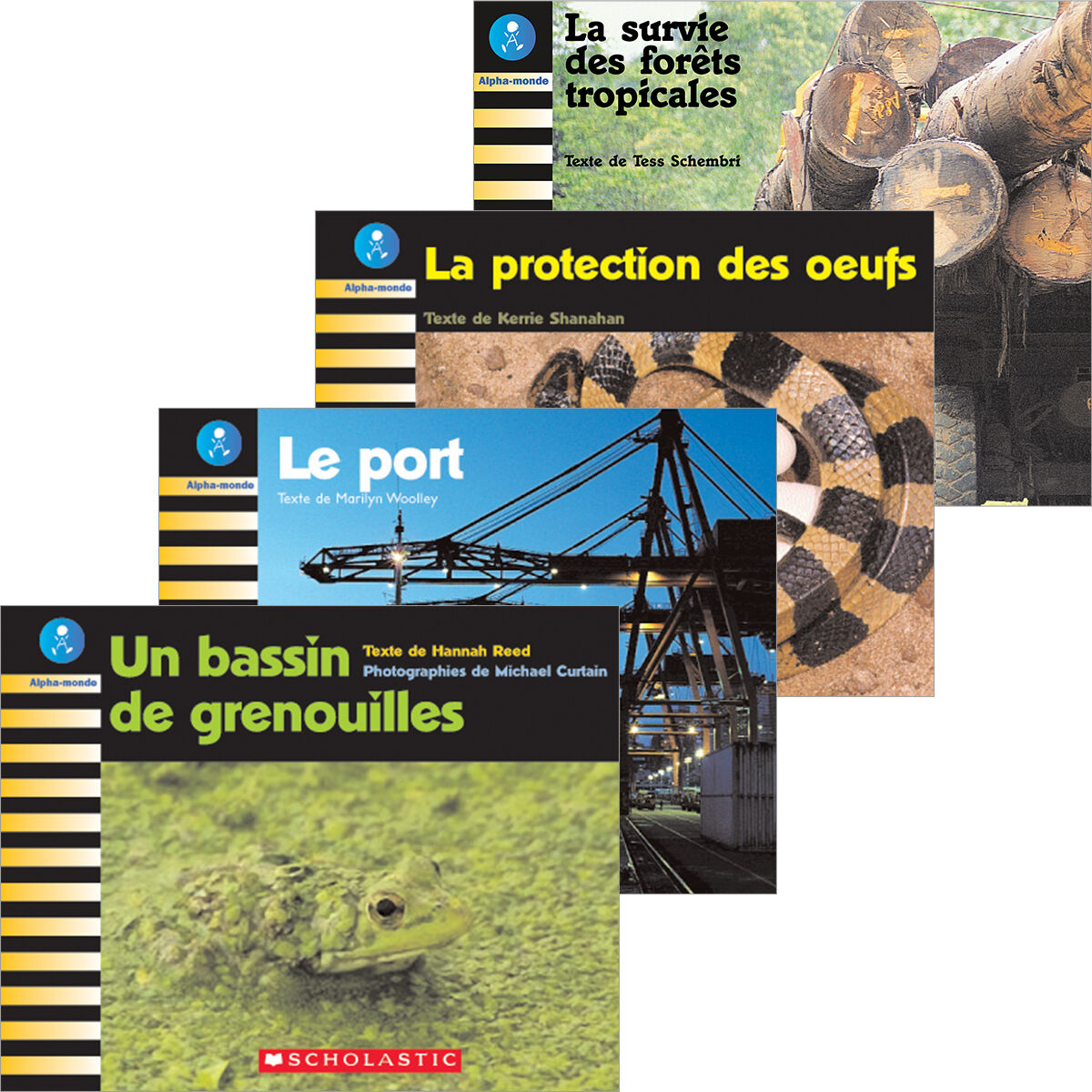 Alpha-monde: Emballage Niveau 20 (J)