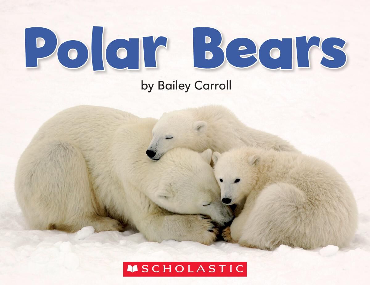 Kindergarten Independent Reading Classroom Library Levels A-D  image number 6