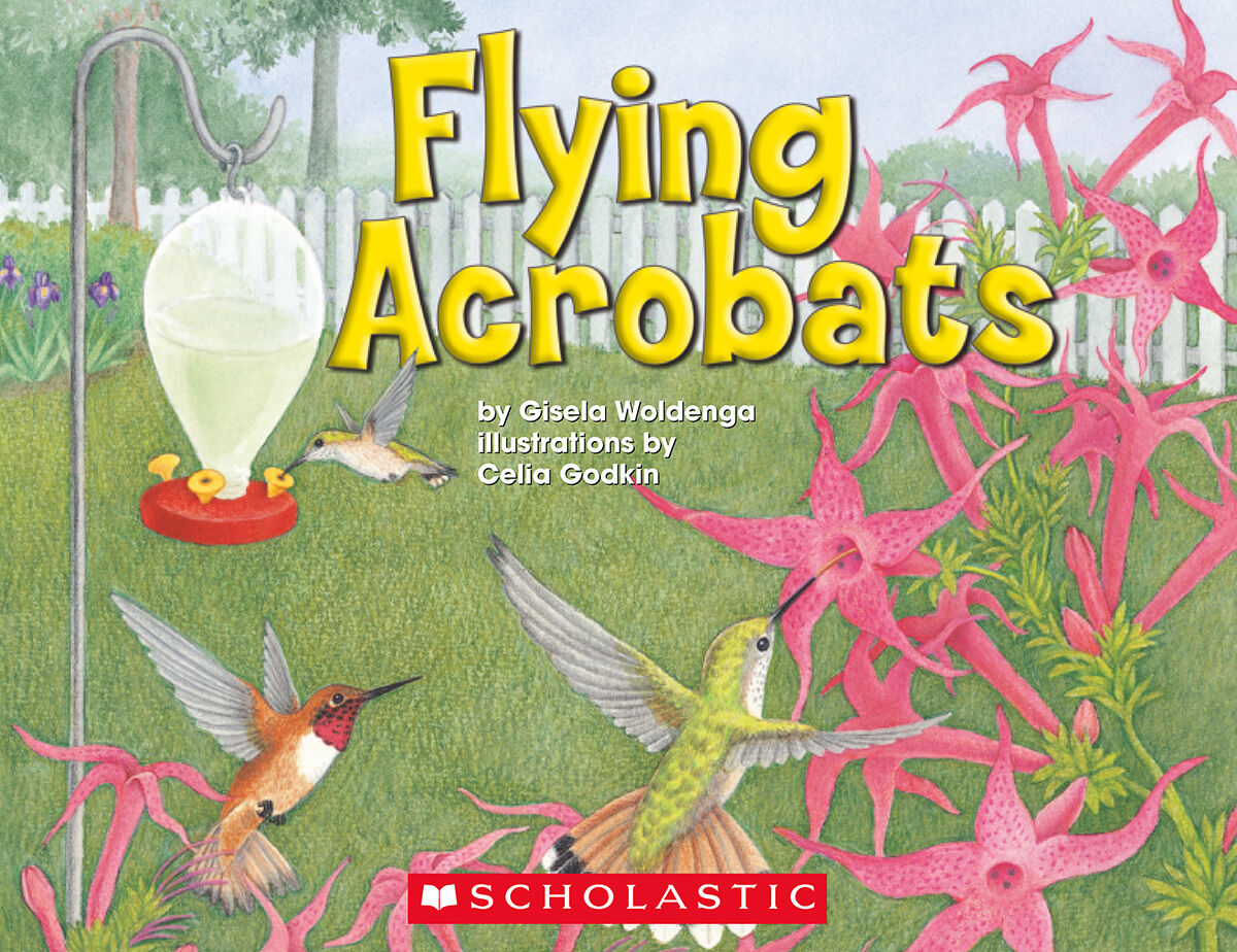 LPEY Levelled Libraries: Level M image number 4