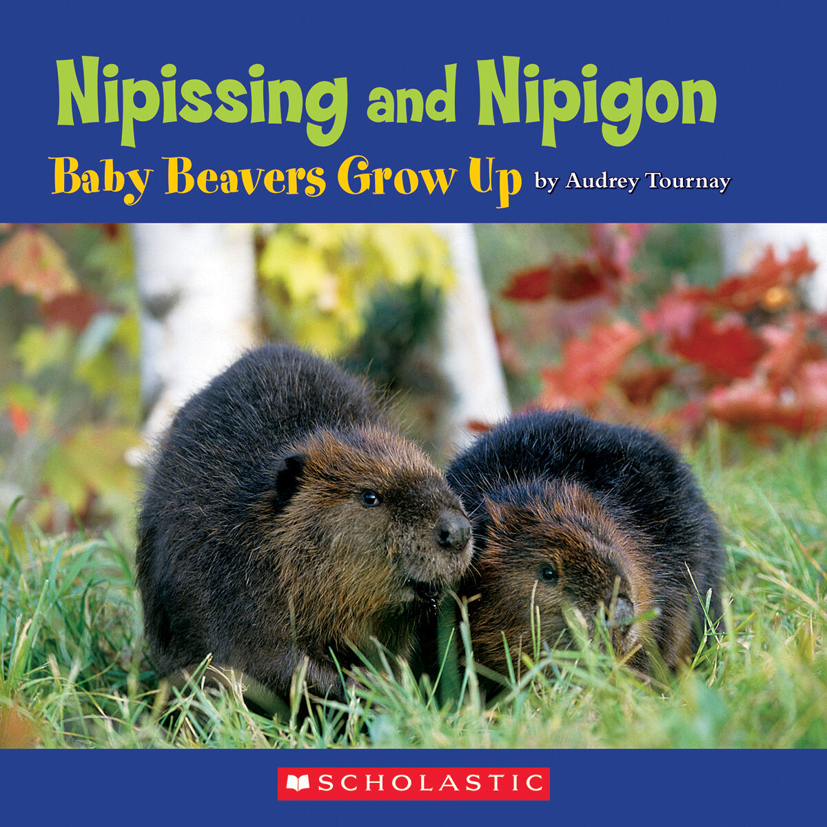 Literacy Place for the Early Years Grade 3: Level N: Nipissing and Nipigon 6 Pack
