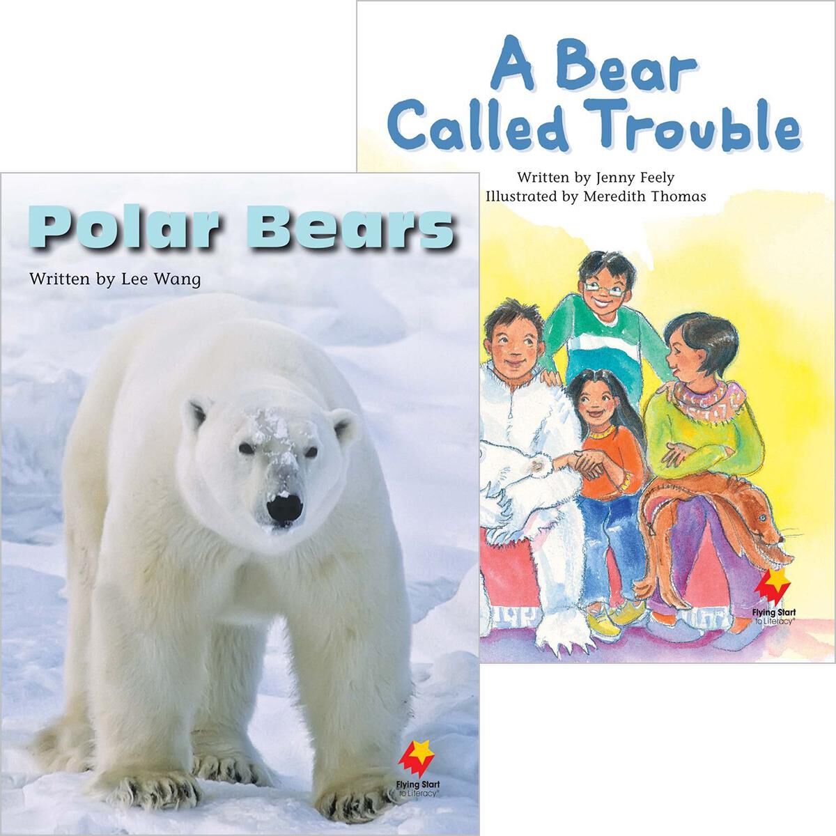 Flying Start: Level K: Polar Bears/A Bear Called Trouble 12 Pack image number 0