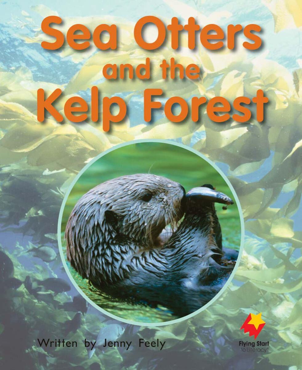 Flying Start: Level H: Sea Otters and the Kelp Forest/The Luck of the Sea Otters 12 Pack image number 2
