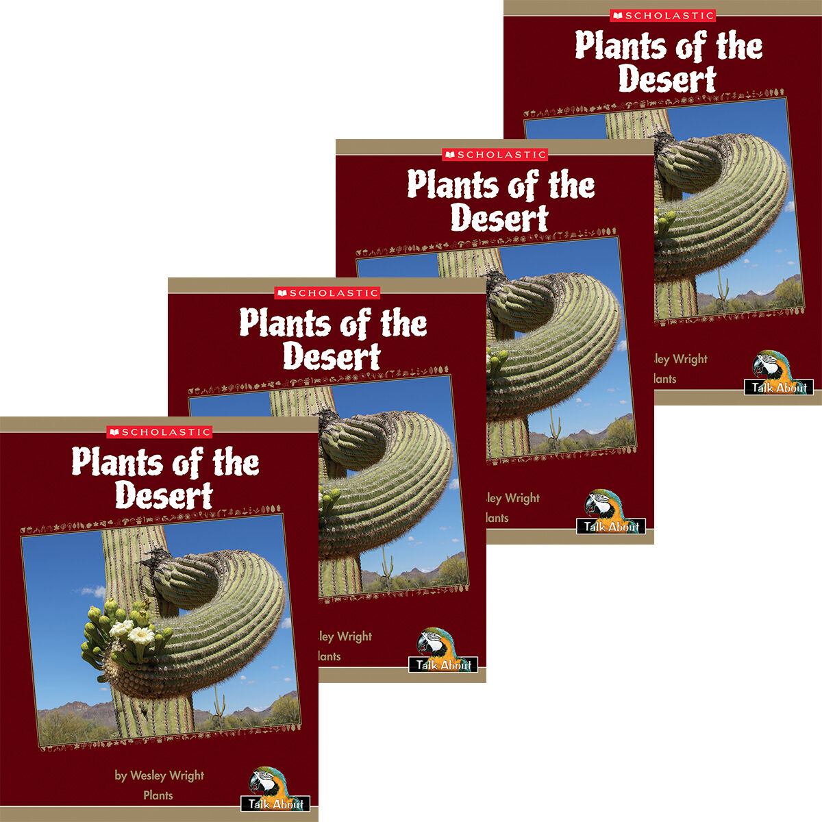 Talk About The Natural World: Plants: Plants of Desert 4 Pack