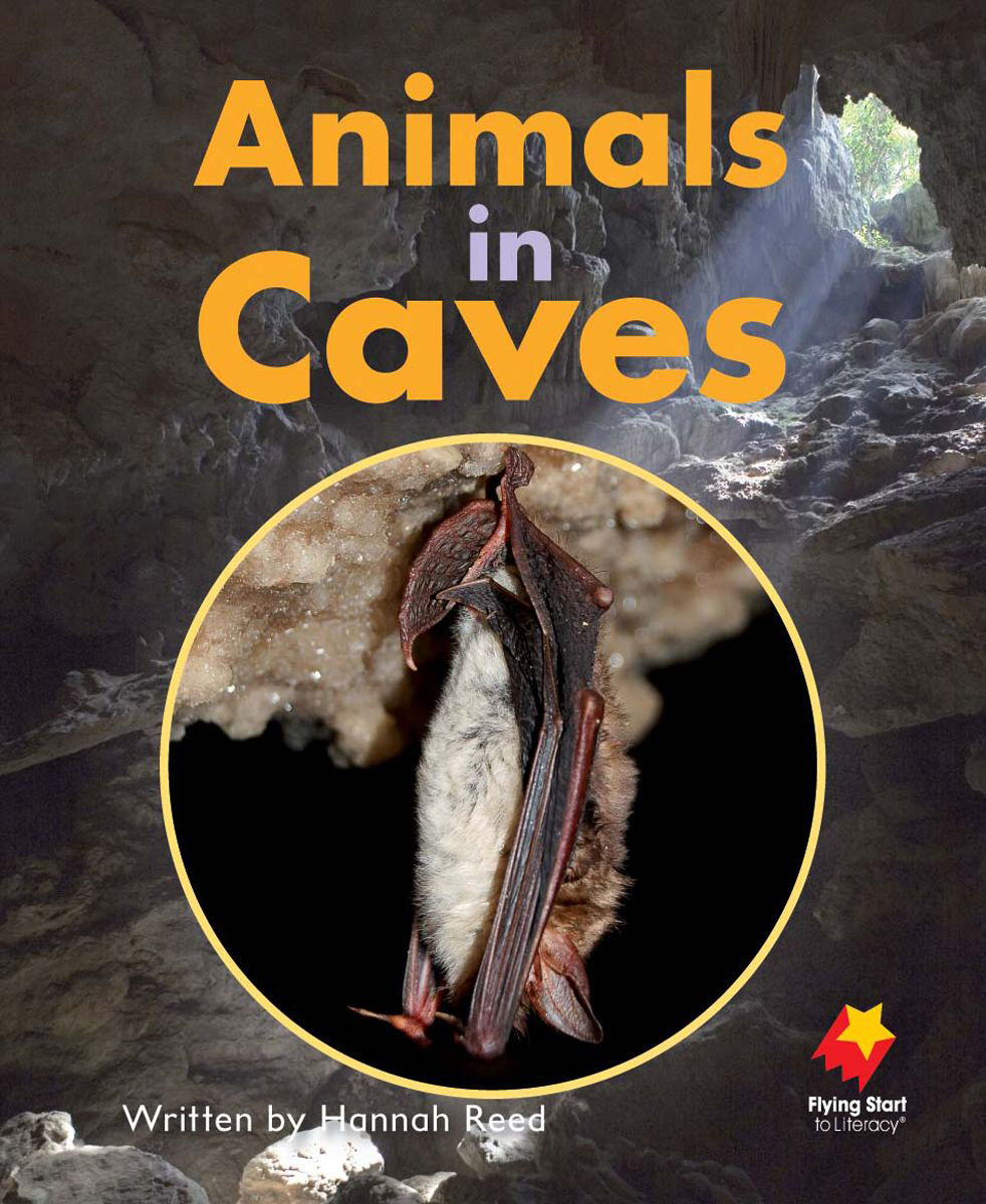 Flying Start: Level H: Animals in Caves/There's Gold in that Cave 12 Pack image number 1