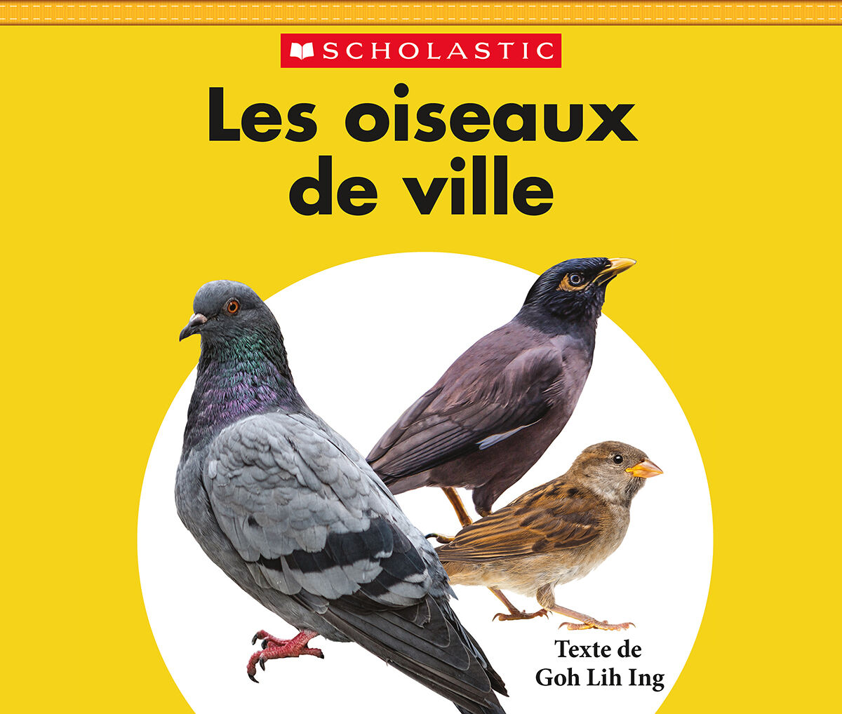 La bo&icirc;te de livres: Jour apr&egrave;s jour Plus: Bo&icirc;te jaune image number 1