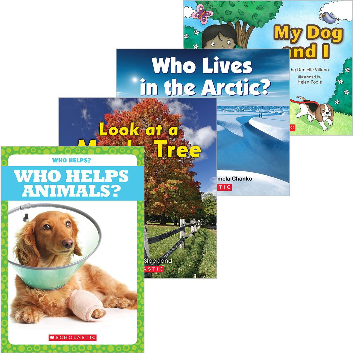 Independent Reading Collection: Level B image number 0