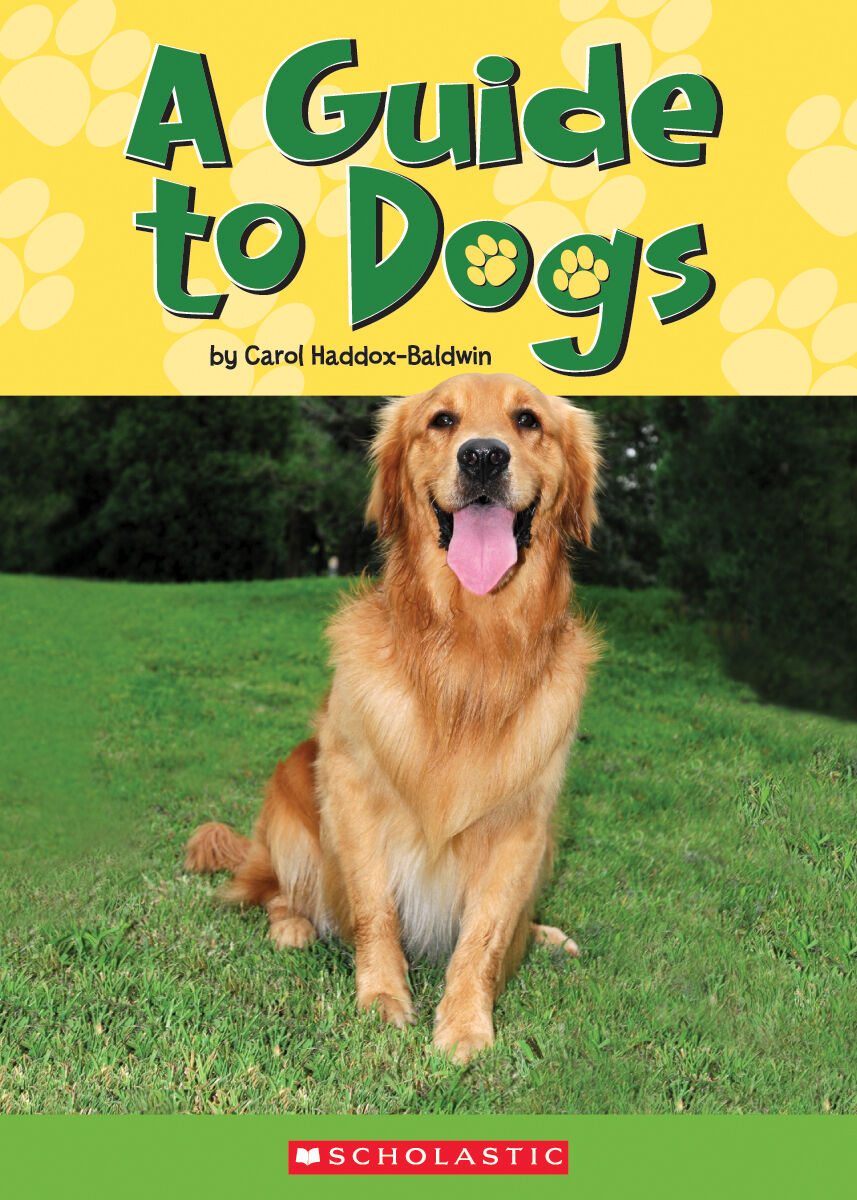 Literacy Place PLUS Grade 3 Guided Reading Library Pack image number 6