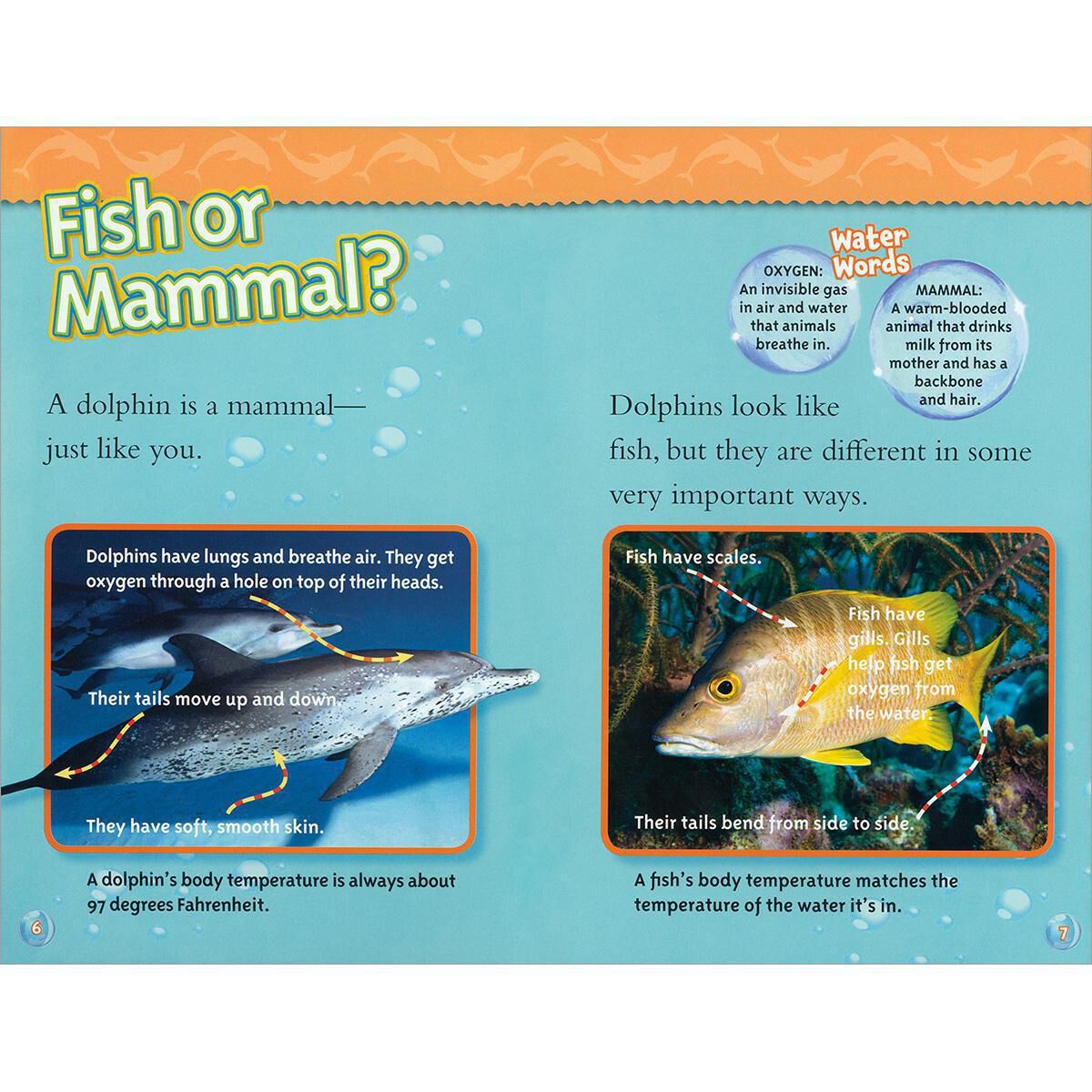 Independent Reading Collection: Level L image number 2