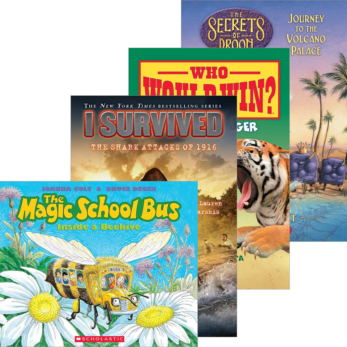 Grade 4 Independent Reading Classroom Libraires: Levels M-R image number 0