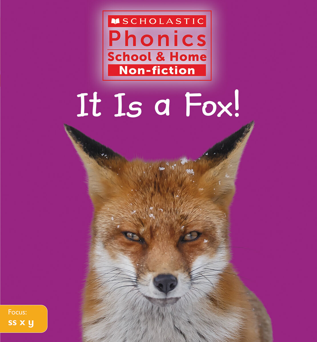 Scholastic Phonics School & Home Non-fiction Complete Library Pack image number 7