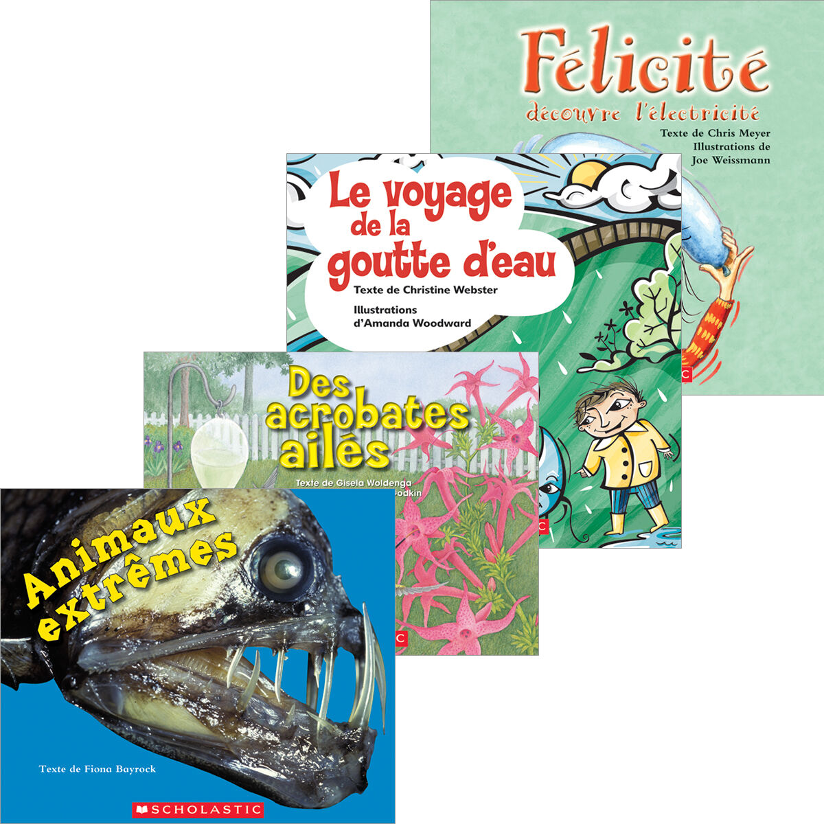 Envol an litt&eacute;ratie 1re ann&eacute;e Emballage de lecture guid&eacute;e: Biblioth&egrave;que de classe M &agrave; P image number 0