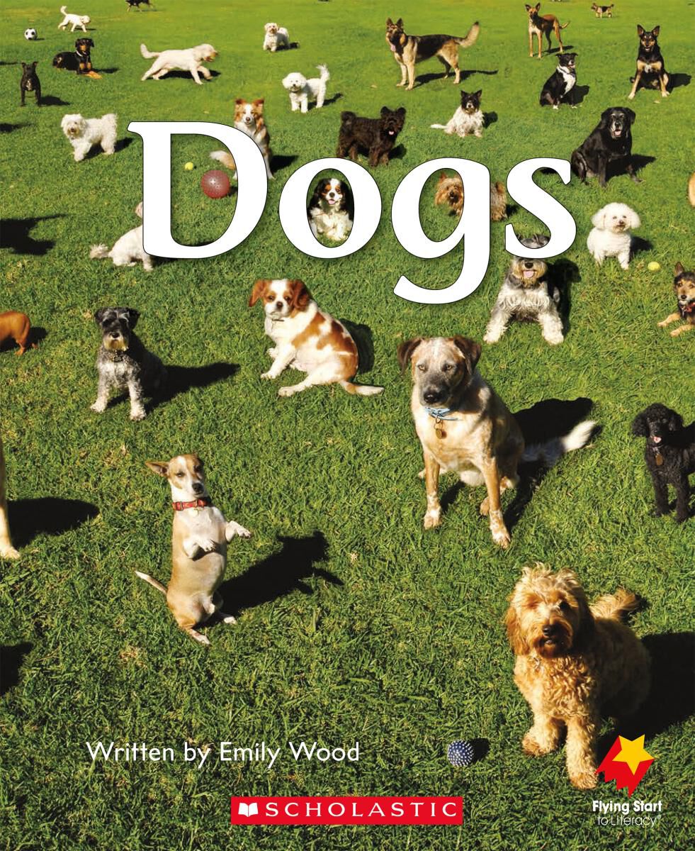 Flying Start: Level A: Me/Dogs 12 Pack image number 2