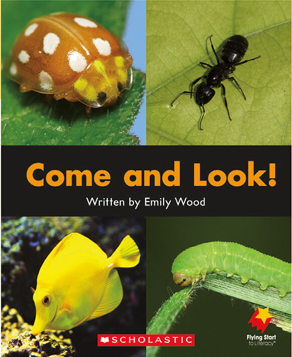 Flying Start: Level B: Come and Look!/Fish 12 Pack image number 2