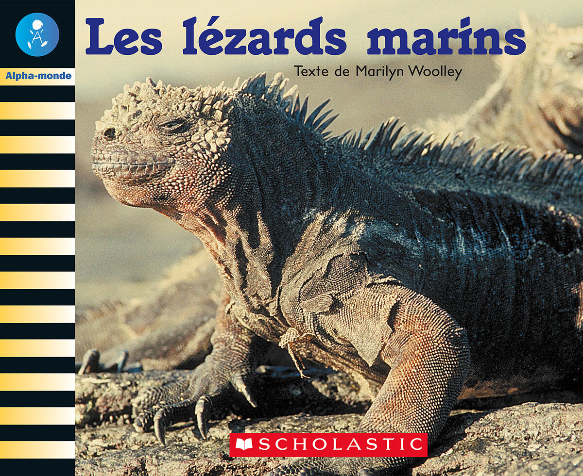 Alpha-monde: Emballage Niveau 15 (I) image number 2