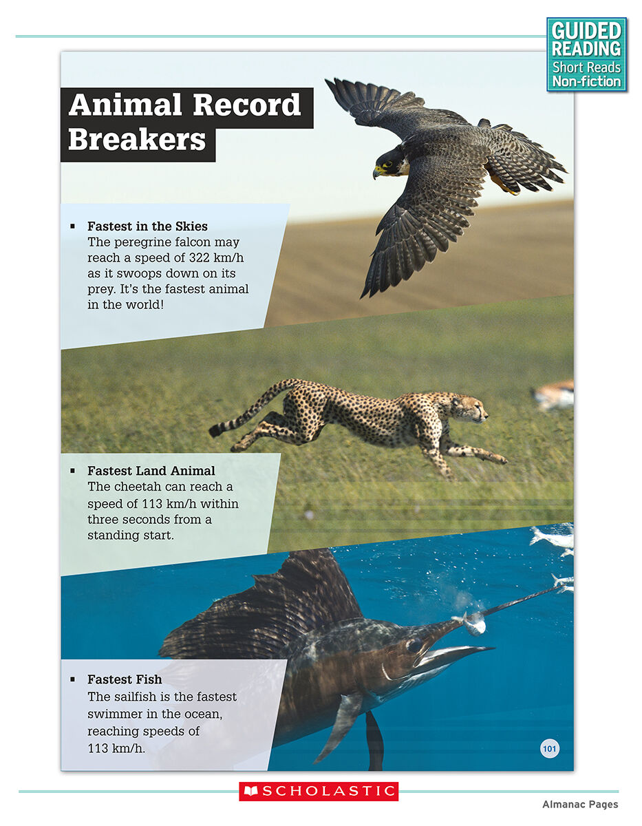 Guided Reading Short Reads Non-fiction Level Q Complete Pack image number 9