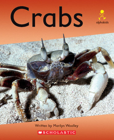 Alphakids: Set 2, Level 16 (I) Multi-pack image number 2