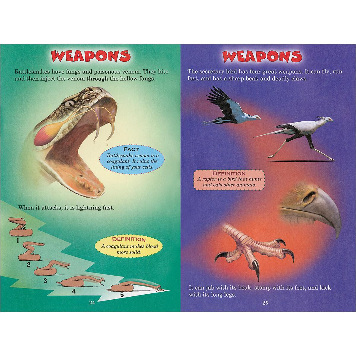 Who Would Win? Rattlesnake vs. Secretary Bird image number 1