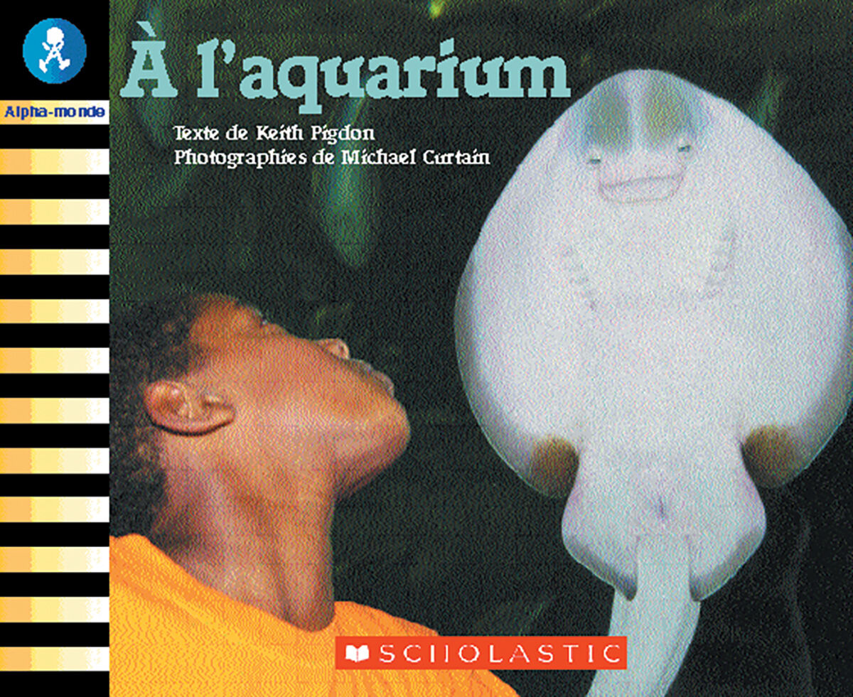 Alpha-monde: Emballage Niveau 2 (B) image number 3