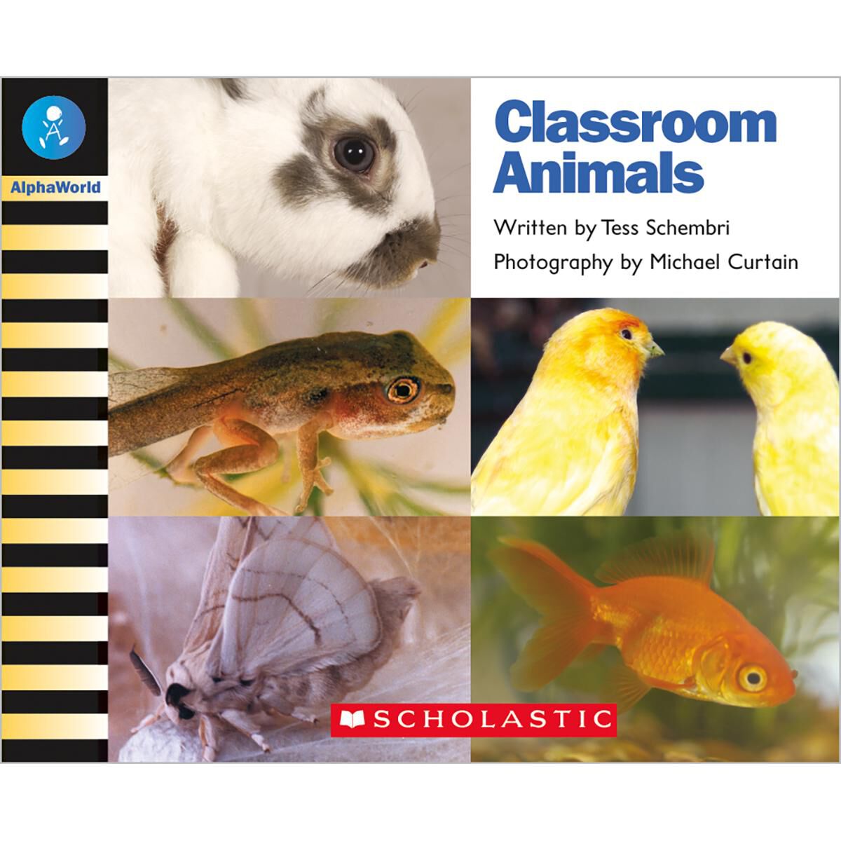AlphaWorld: Level 11 (G): Classroom Animals 6 Pack image number 0