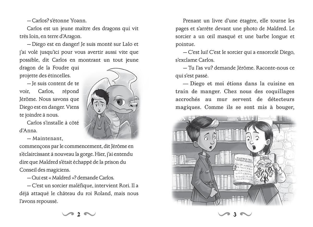 Ma&icirc;tres des dragons : N&deg; 11 - L'&eacute;clat du dragon d'Argent image number 2