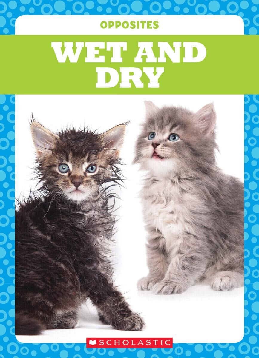 Independent Reading Collection: Level B image number 9