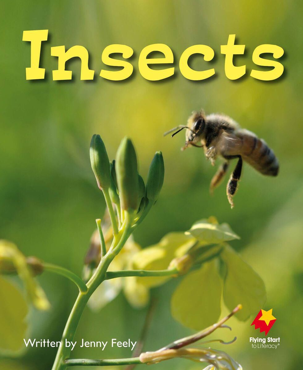 Flying Start: Level E: Insects/Where Are the Grapes? 12 Pack image number 1