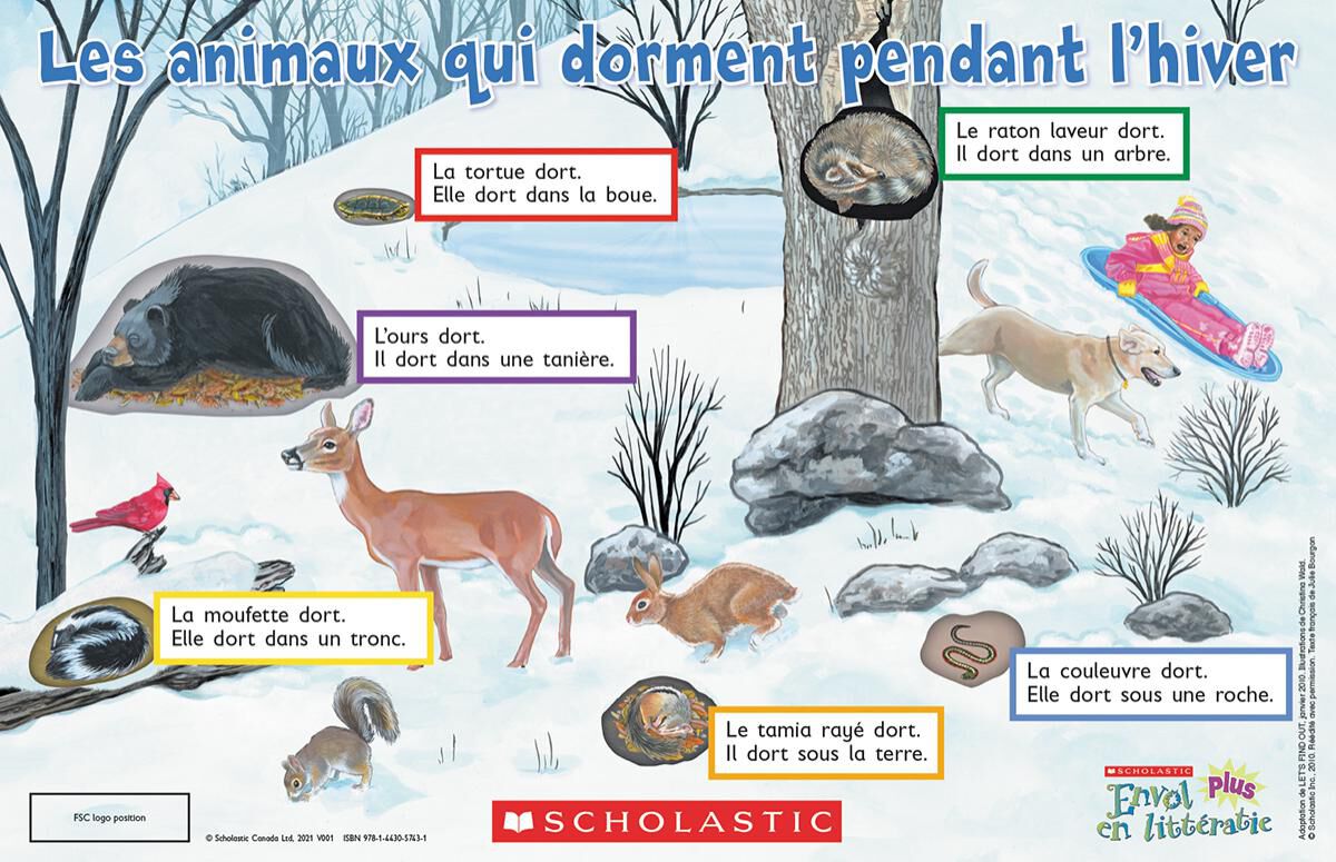 Envol an litt&eacute;ratie Maternelle &agrave; 4e ann&eacute;e: Niveau E: Les animaux qui dorment pendant hiver Emballage de 6