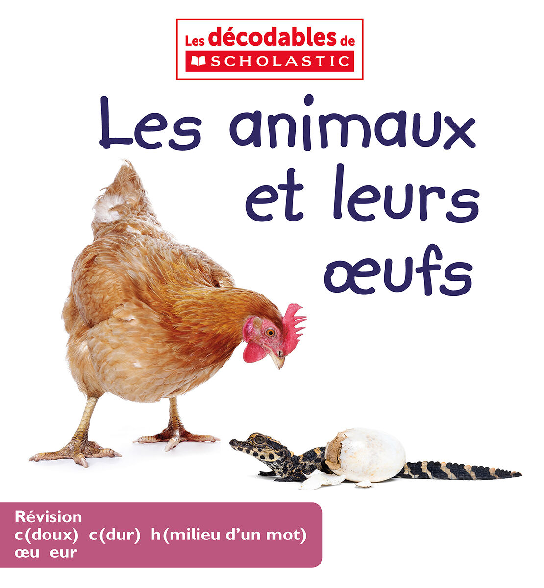 Les d&eacute;codables de Scholastic &Eacute;tapes 11-15 image number 4