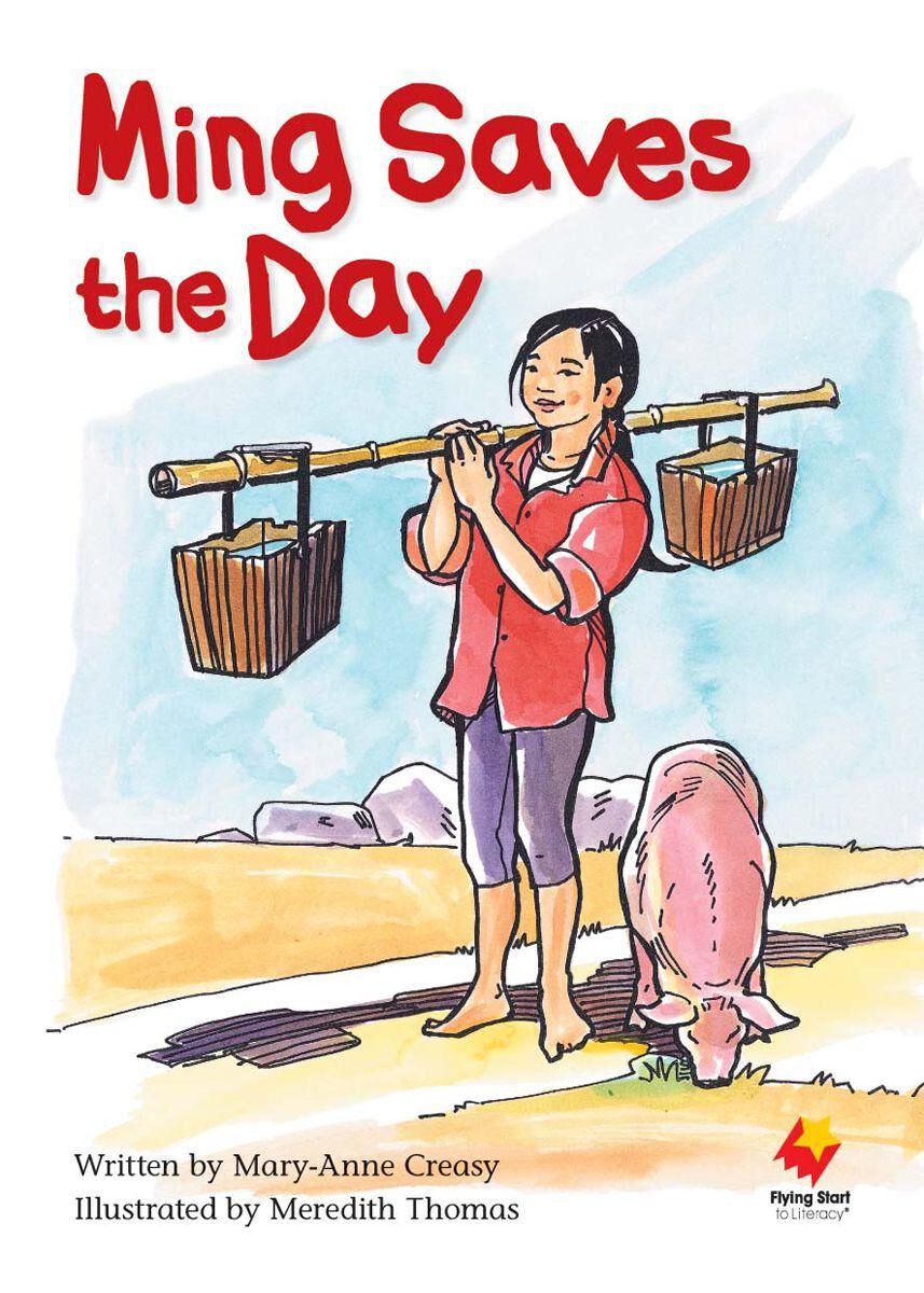 Flying Start Level Q Library Pack image number 4