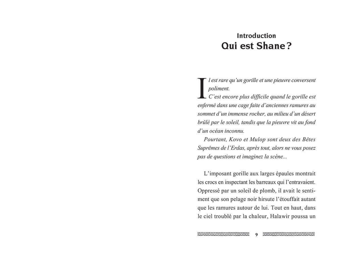 Animal totem : Le livre de Shane image number 1