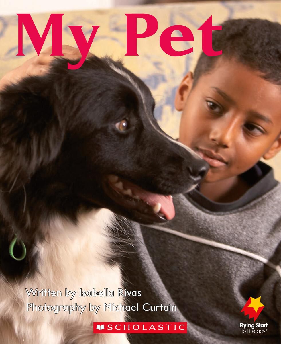 Flying Start: Level A Book Pack image number 3