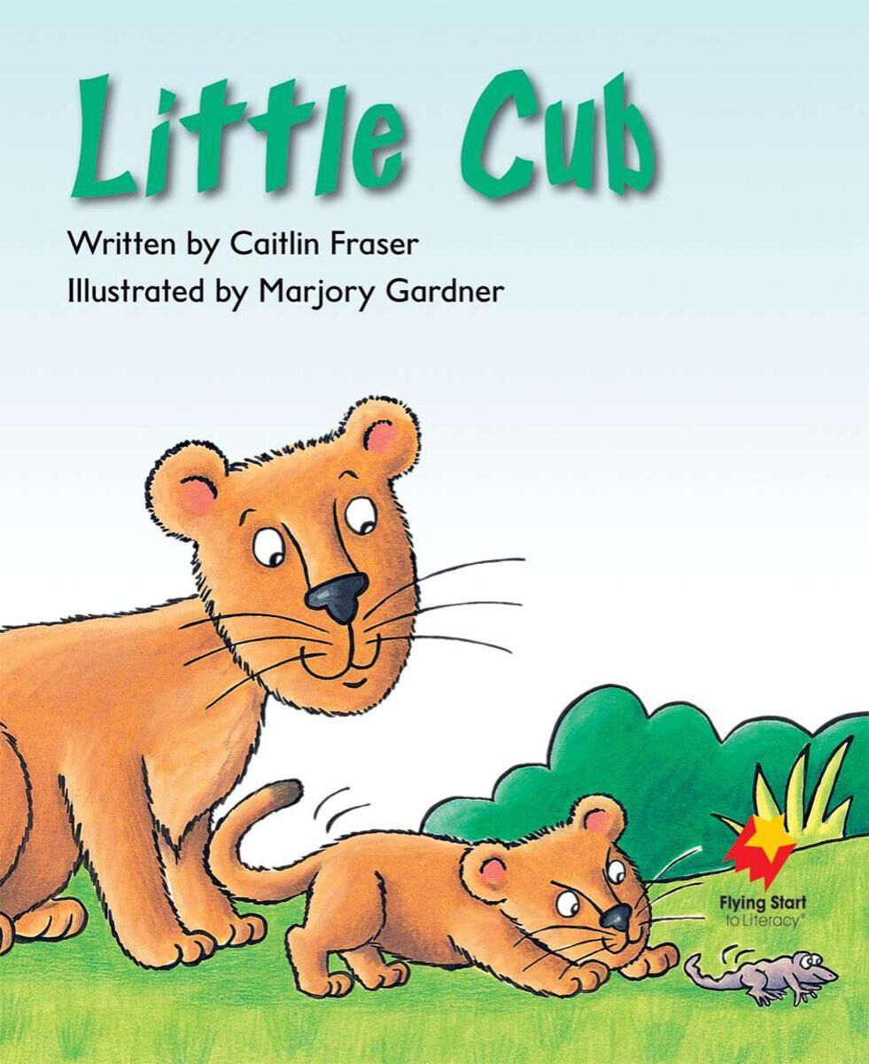 Flying Start: Level F: Teach Me How/Little Cub 12 Pack | Scholastic ...