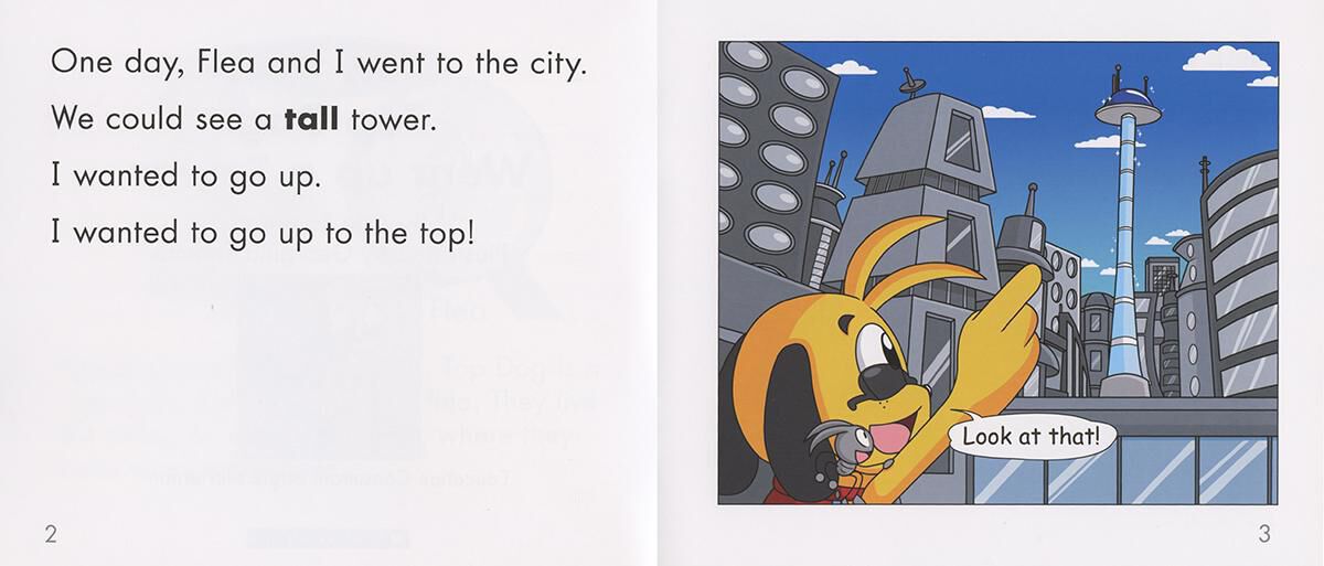 Top Dog: Level F: Top Dog Went up a Tower 6 Pack image number 2