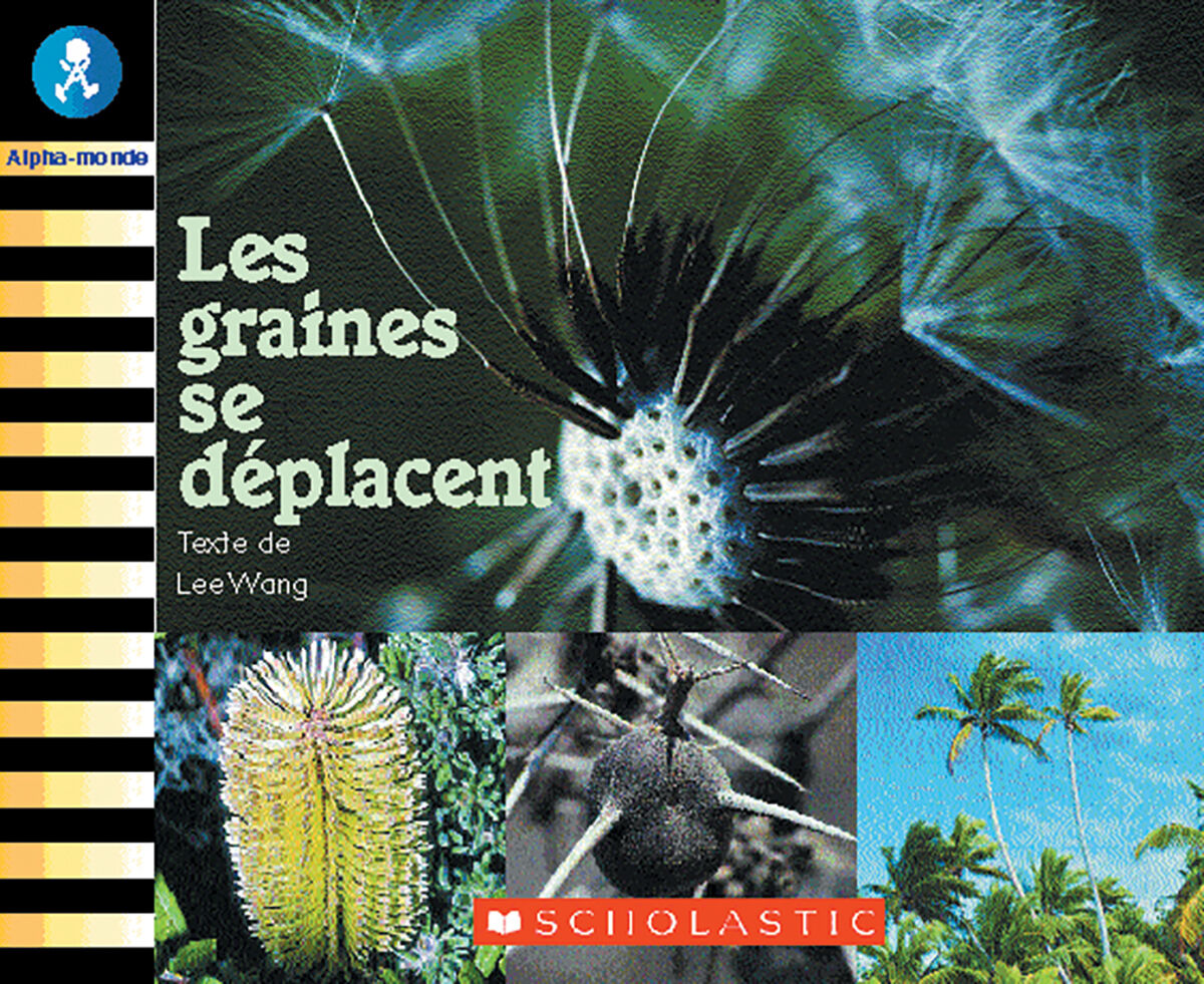 Alpha-monde: Emballage Niveau 7 (E) image number 2