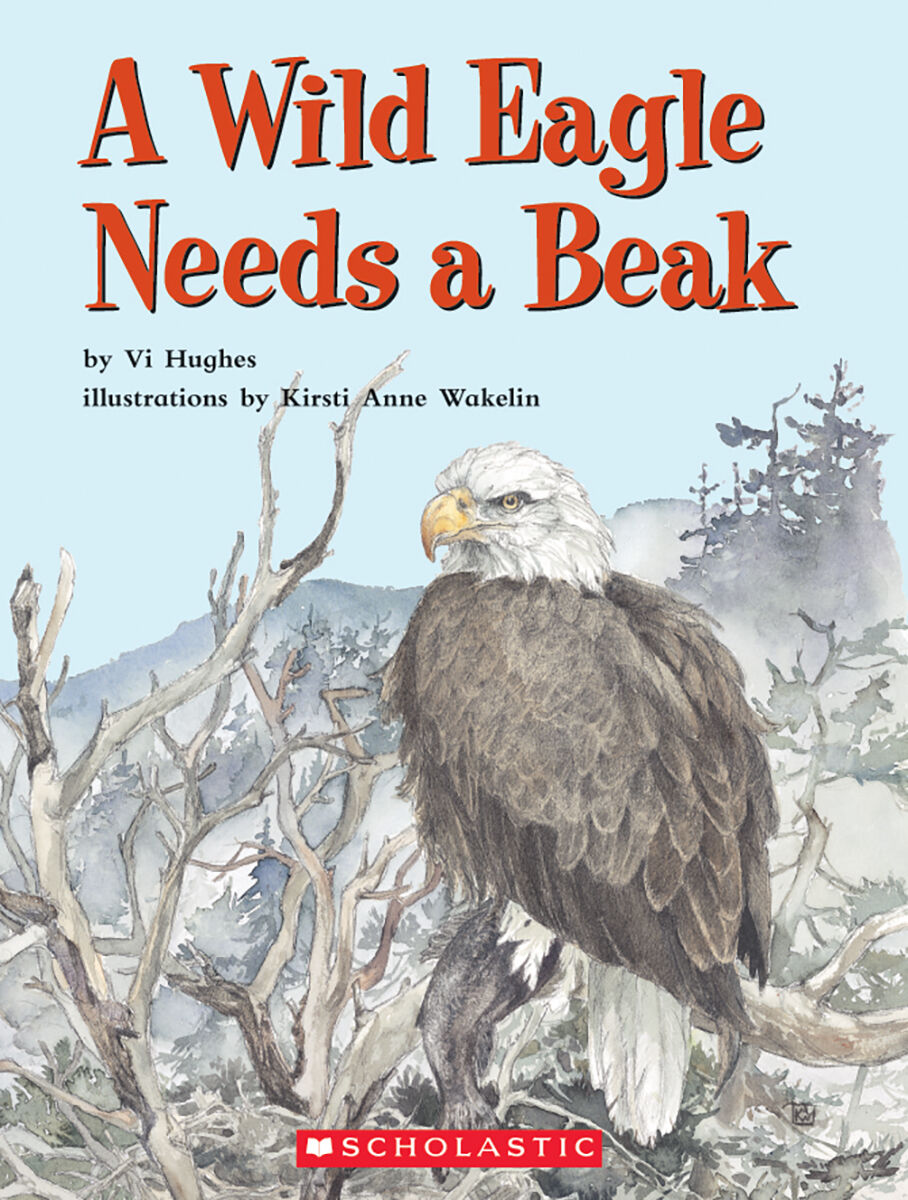 Literacy Place for the Early Years Grade 1: Level J: A Wild Eagle Needs a Beak 6 Pack image number 0