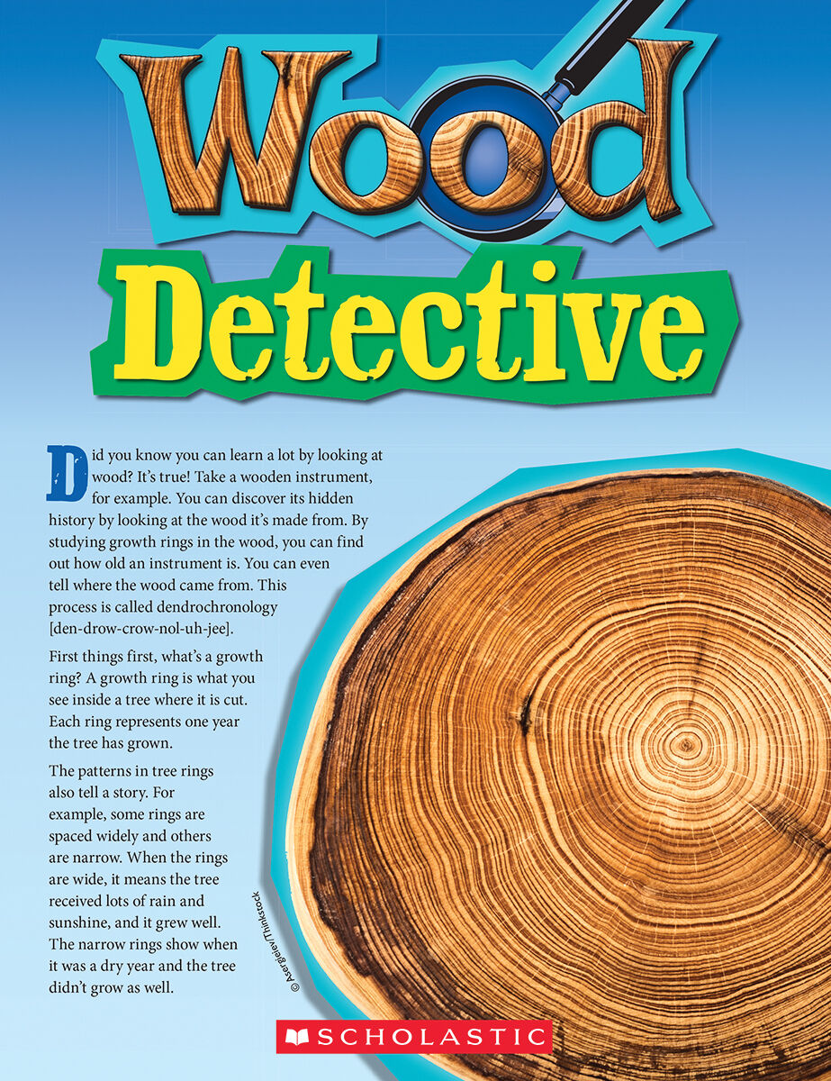 Moving Up Grade 5: Level Q: Wood Detective 6 Pack