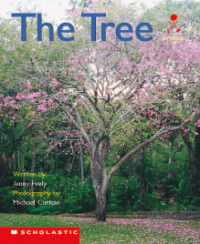 Alphakids: Set 1, Level 8 (E) Multi-pack image number 2