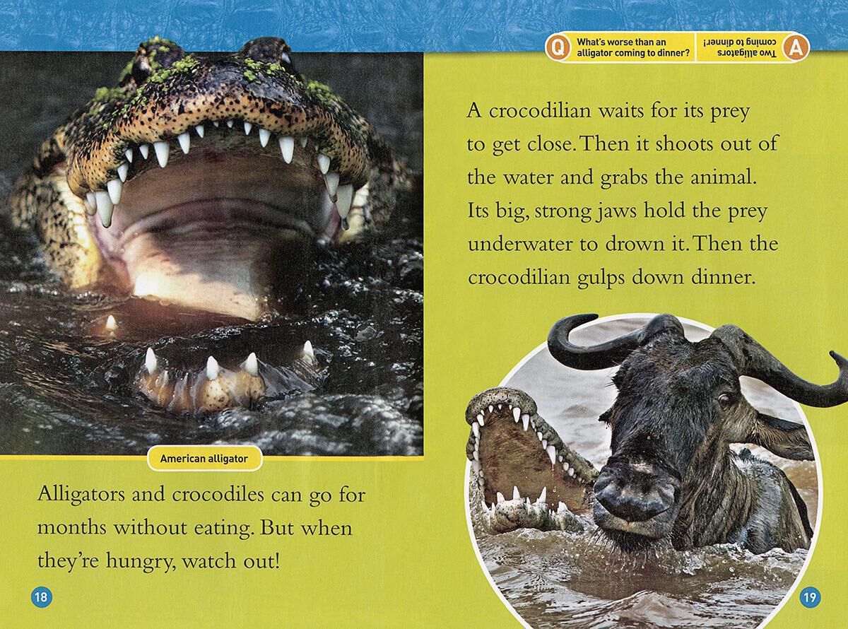 Independent Reading Collection: Level K image number 4