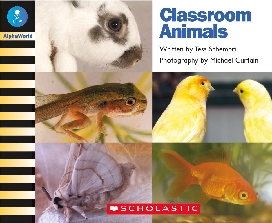 AlphaWorld: Level 11 (G): Classroom Animals 6 Pack image number 1