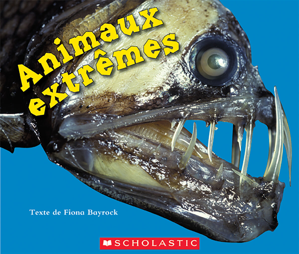 Envol an litt&eacute;ratie 1re ann&eacute;e Emballage de lecture guid&eacute;e: Biblioth&egrave;que de classe M &agrave; P image number 1