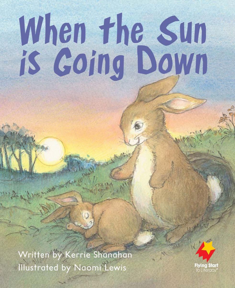 Flying Start: Level E Library Pack image number 2