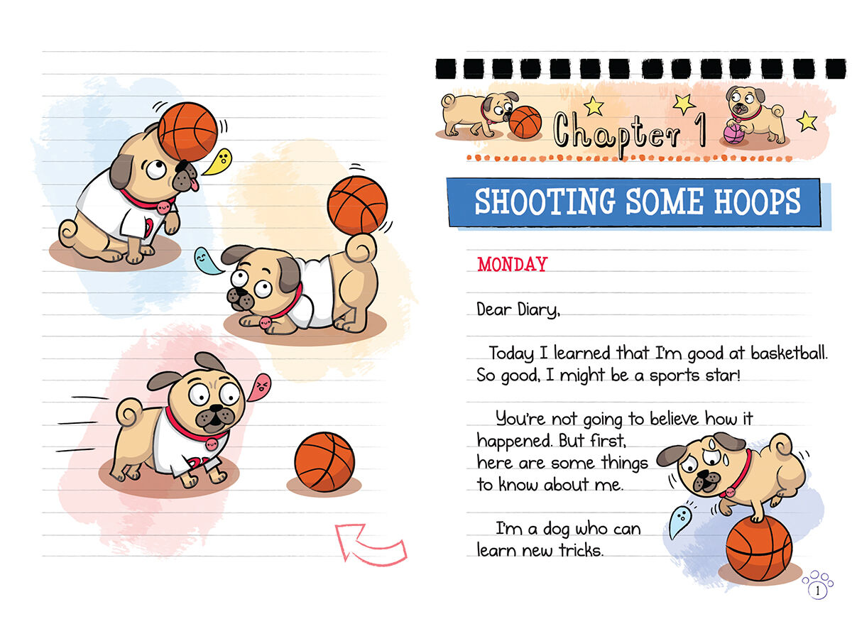 Diary of a Pug #11: Pug the Sports Star image number 1