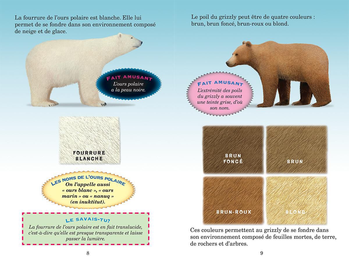 Qui va gagner? L'ours polaire ou le grizzly? image number 1