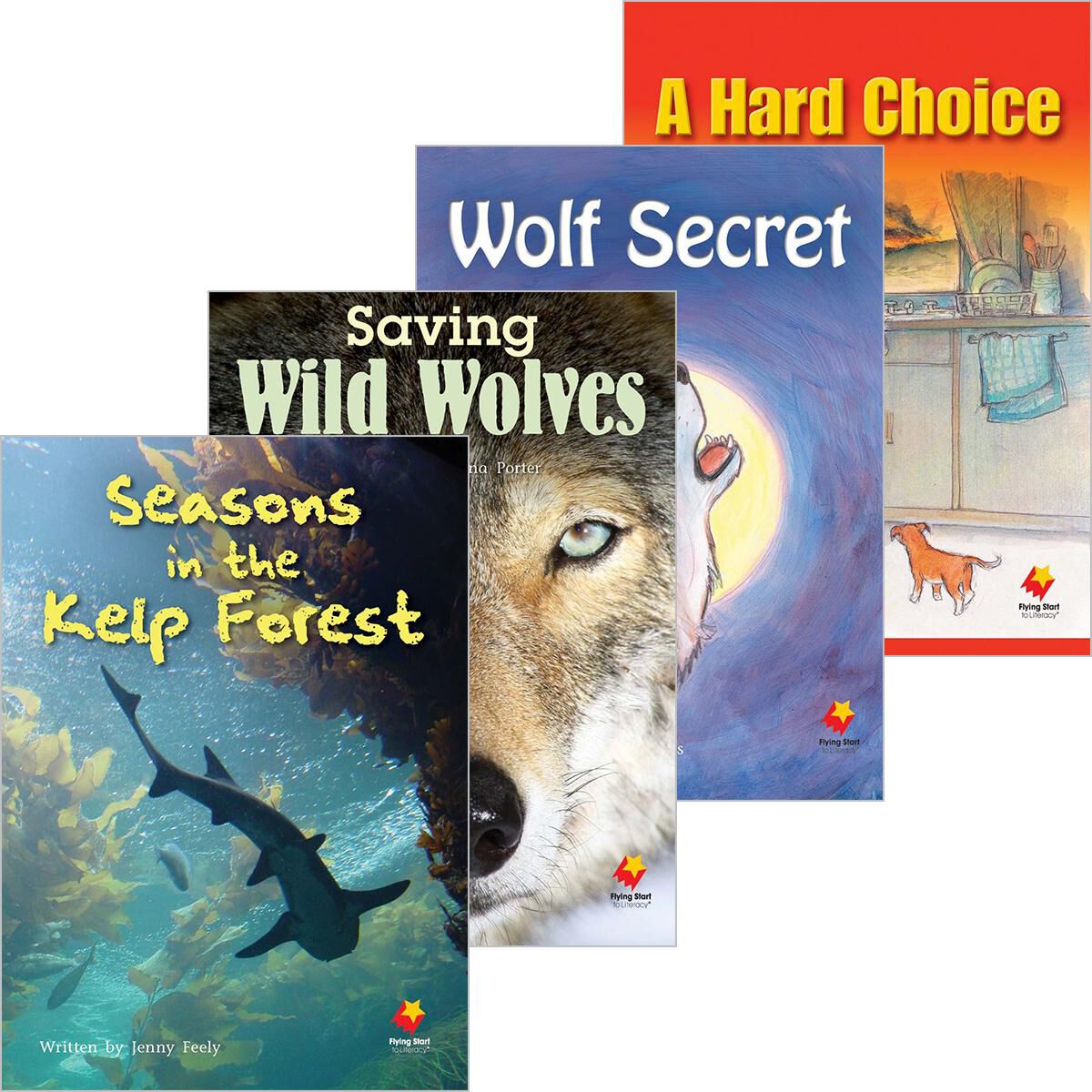 Flying Start Level O Library Pack