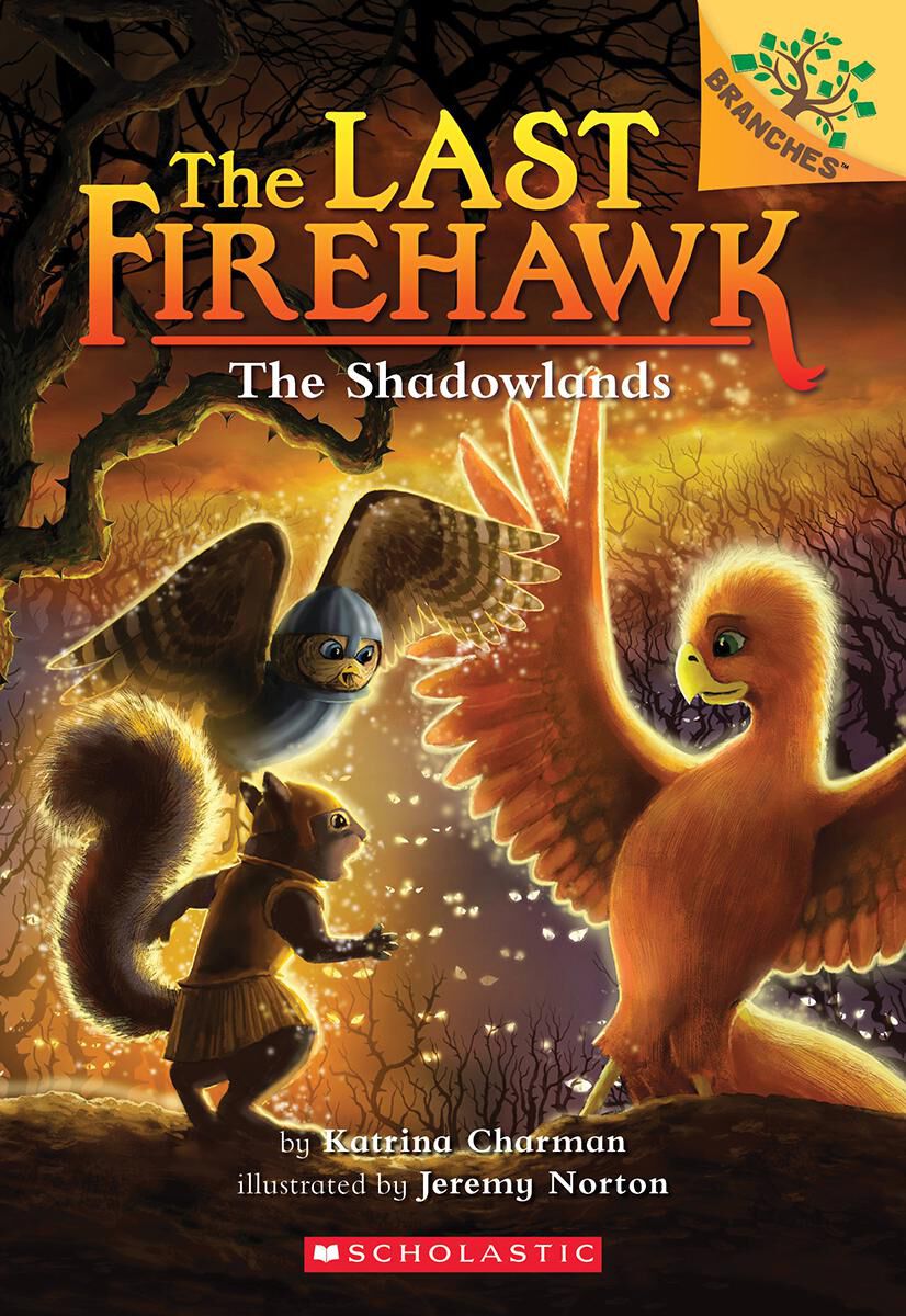 The Last Firehawk #5: The Shadowlands image number 0