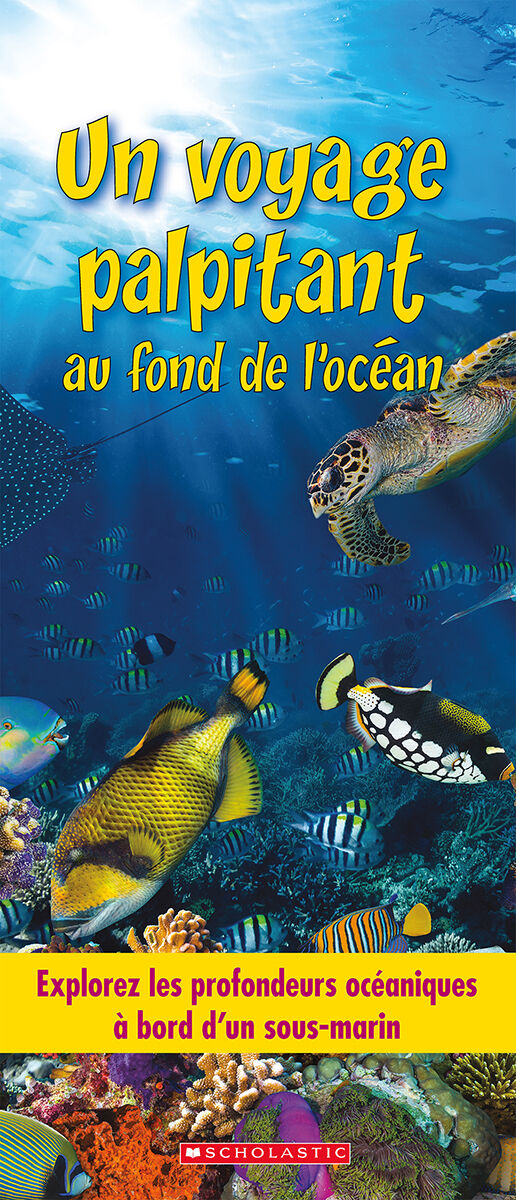 Envol en litt&eacute;ratie Biblioth&egrave;que nivel&eacute;e: Niveaux R-T image number 5