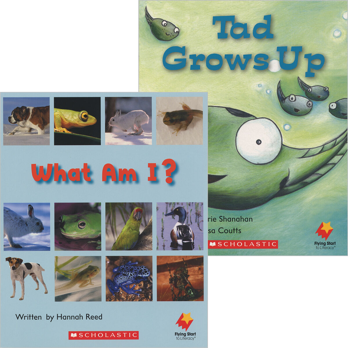 Flying Start: Level D: What Am I?/Tad Grows Up 12 Pack image number 0