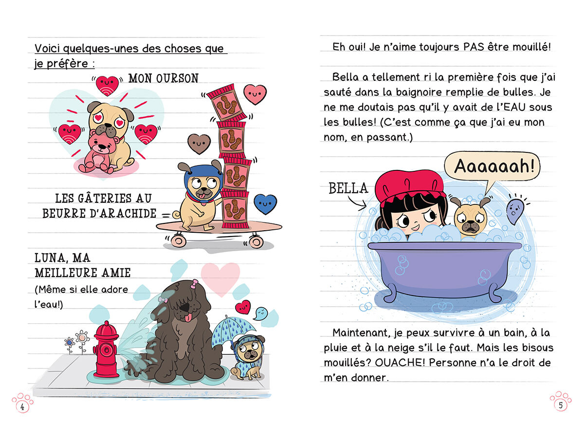 Journal d&rsquo;un carlin : N&deg; 3 - Le lave-o-thon pour chiens image number 3