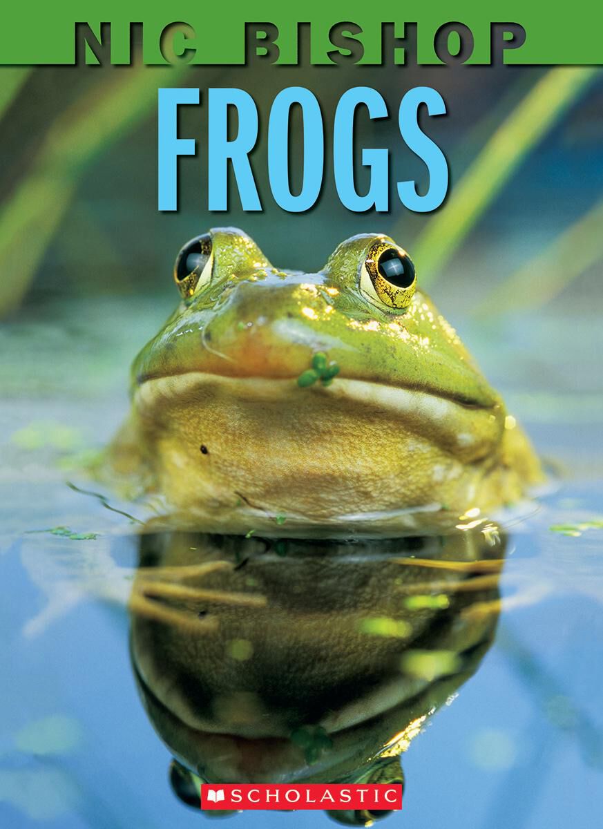 Conventions and Craft: Grade 2 image number 4