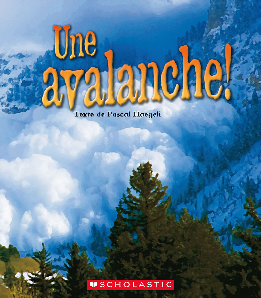 Envol en litt&eacute;ratie Biblioth&egrave;que nivel&eacute;e: Niveaux R-T image number 6